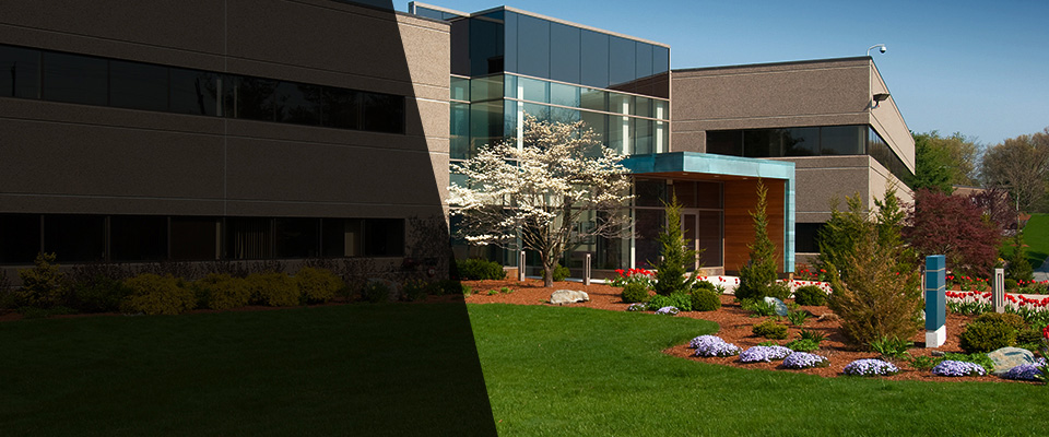 Philadelphia Landscapers