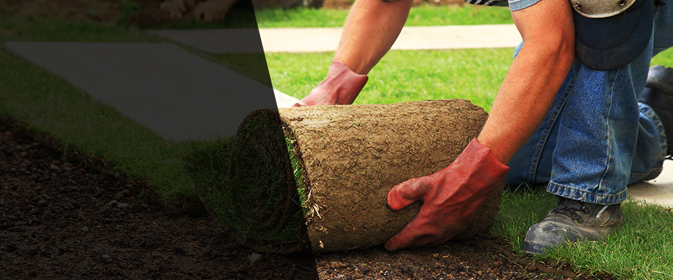 Philadelphia Landscapers